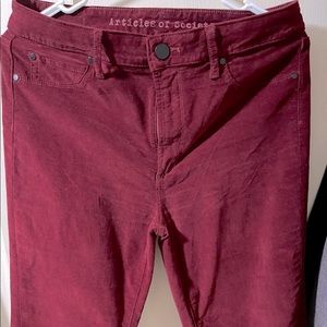 Size 29 Articles of society